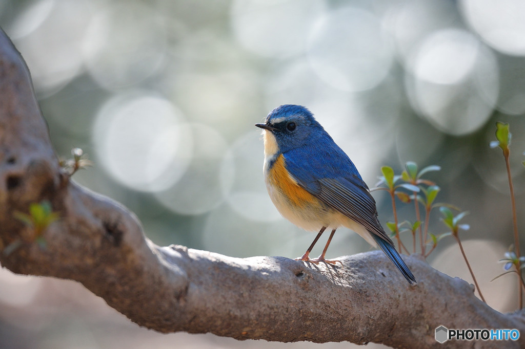 木漏れ日の中で
