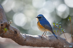 木漏れ日の中で