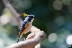 春の日差しを浴びて