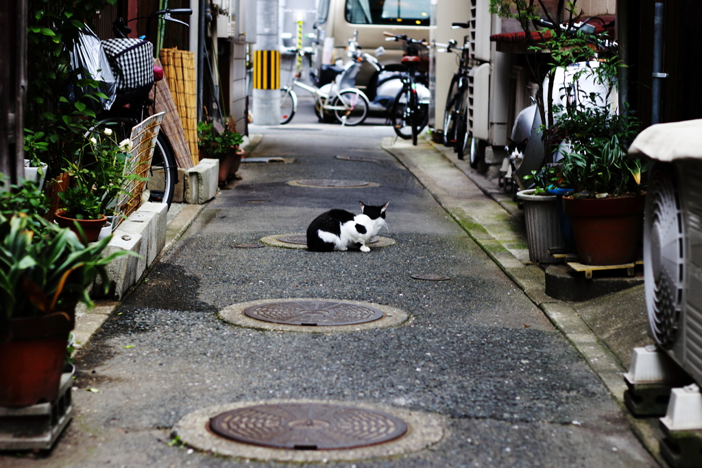 見つめ合う