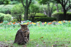 おはようございます。