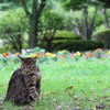 おはようございます。
