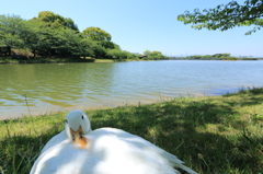 キュウケイチュウデスガァ？