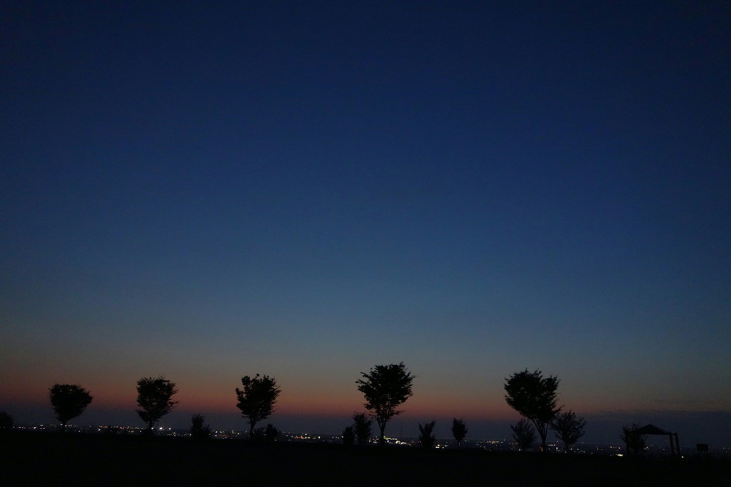 DSC00912