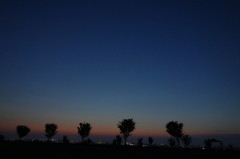 DSC00912