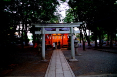 07