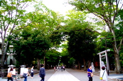 03