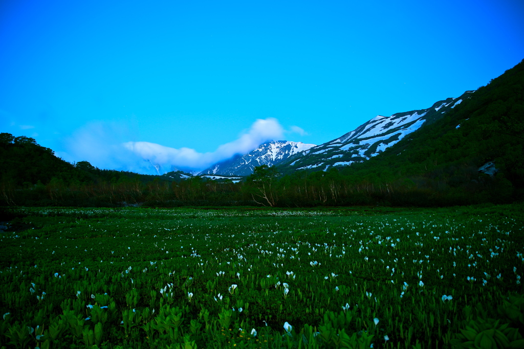 白馬山麓の朝