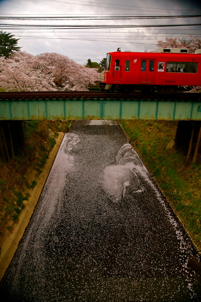 赤い電車と桜