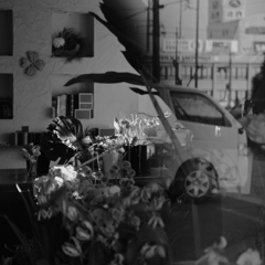 Flower shop