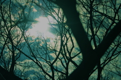 「Y」