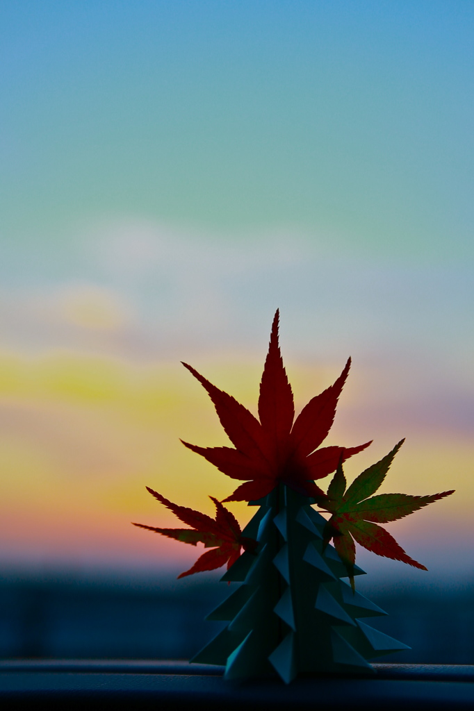 紅葉の塔②