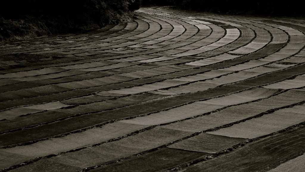 Road of day avoiding