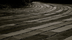 Road of day avoiding