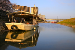 早朝の長良川