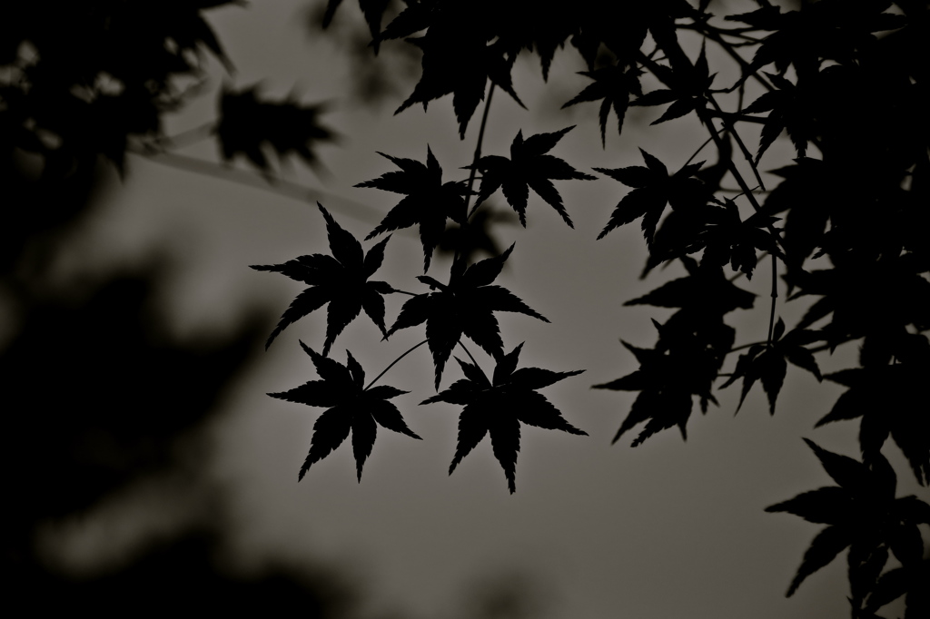 The time passing
