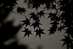The time passing