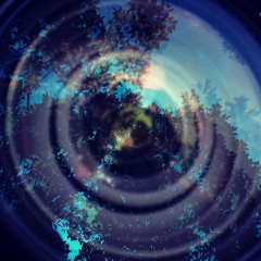 Forest in lens