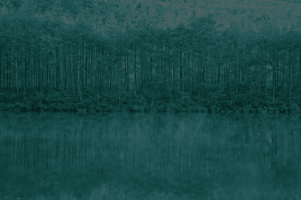 静寂