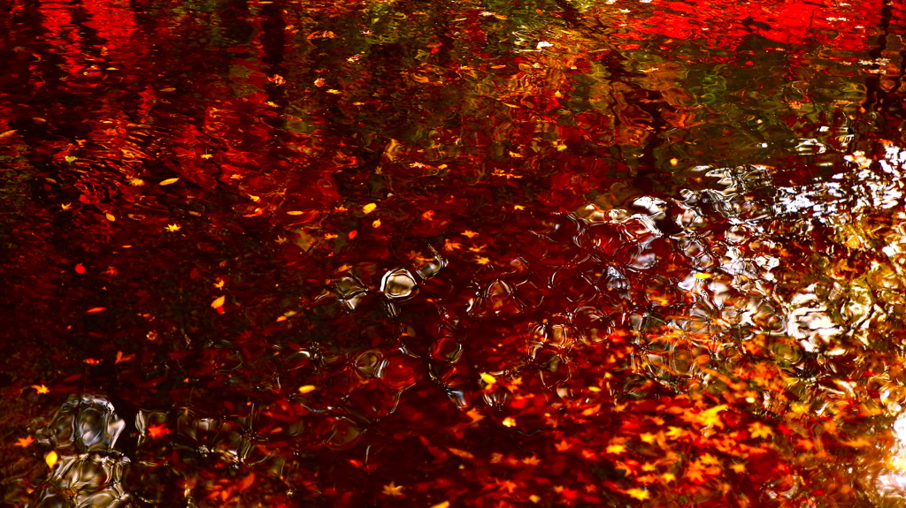 紅の池
