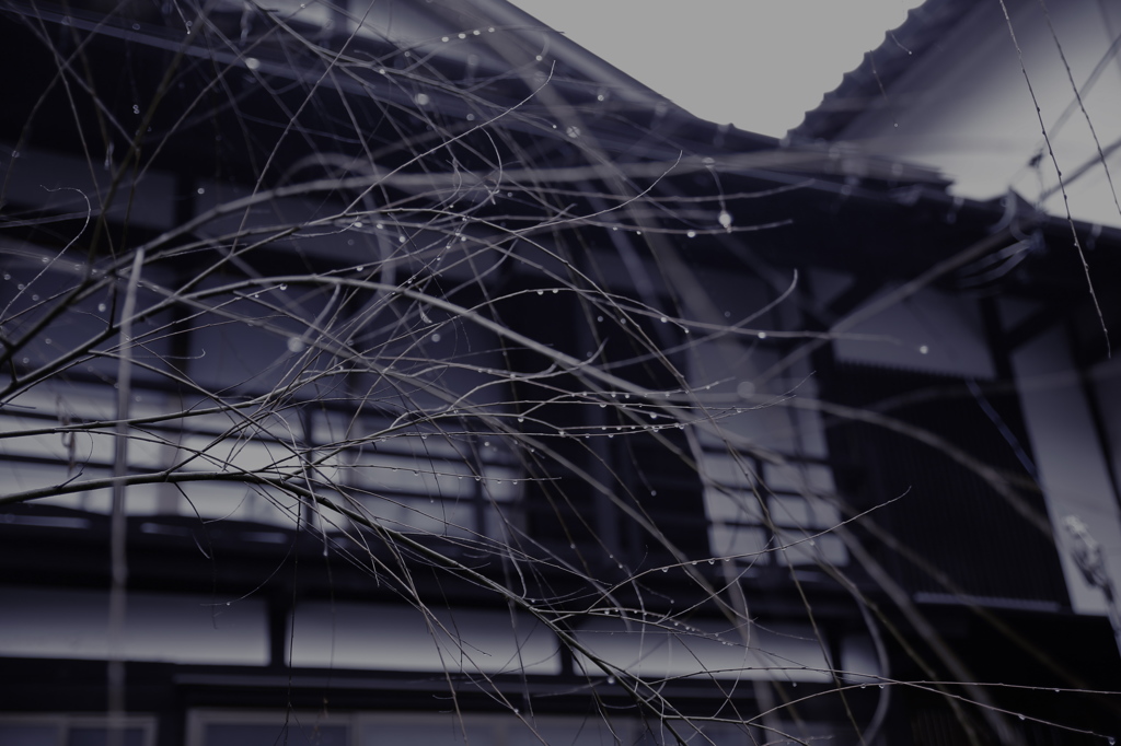 しっとりと…。