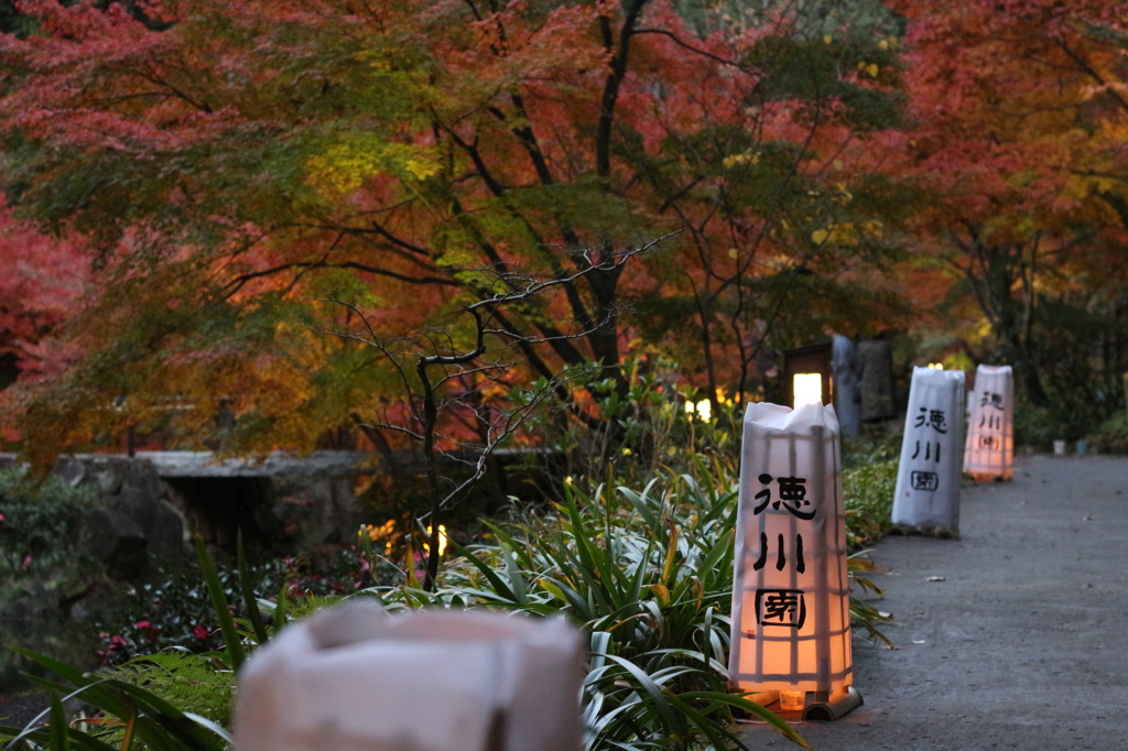 徳川園