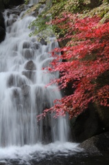 徳川園　滝