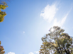 天高く・・秋の空 天高く・・秋の空