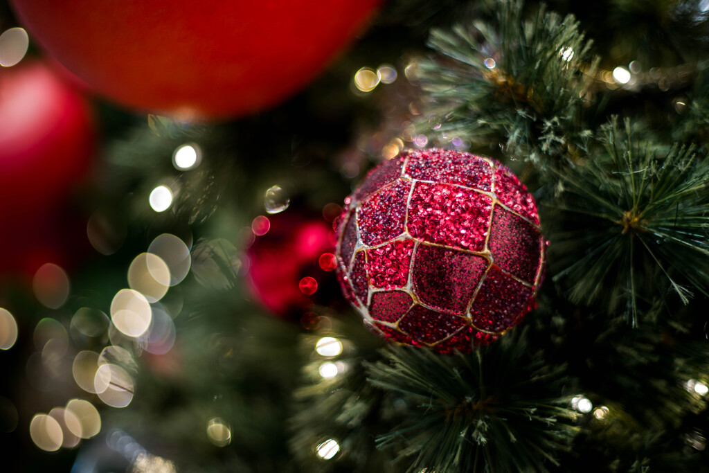 キラキラ・・クリスマス