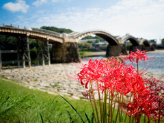 10月8日 真夏日・・錦帯橋