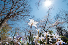 今年一番・・日本晴れ(-^▽^-)/