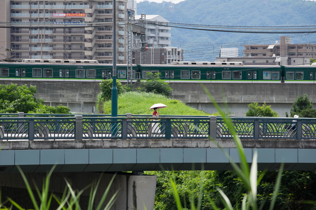 身近な夏景色‥