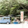 大売出し・・って 6(;''∀'')？
