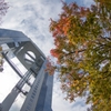 秋景色‥スカイビル
