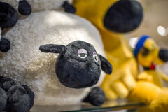 はや夏バテ？ひつじのシャーリー