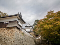 山の秋・・備中松山城