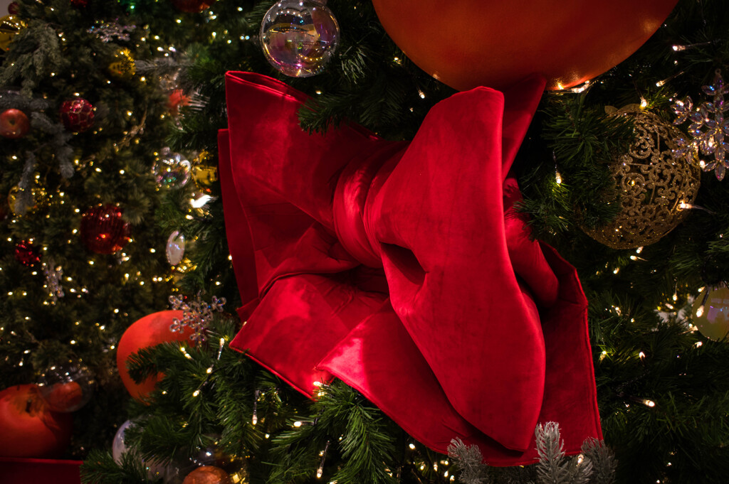 レッドリボン・・クリスマスツリー