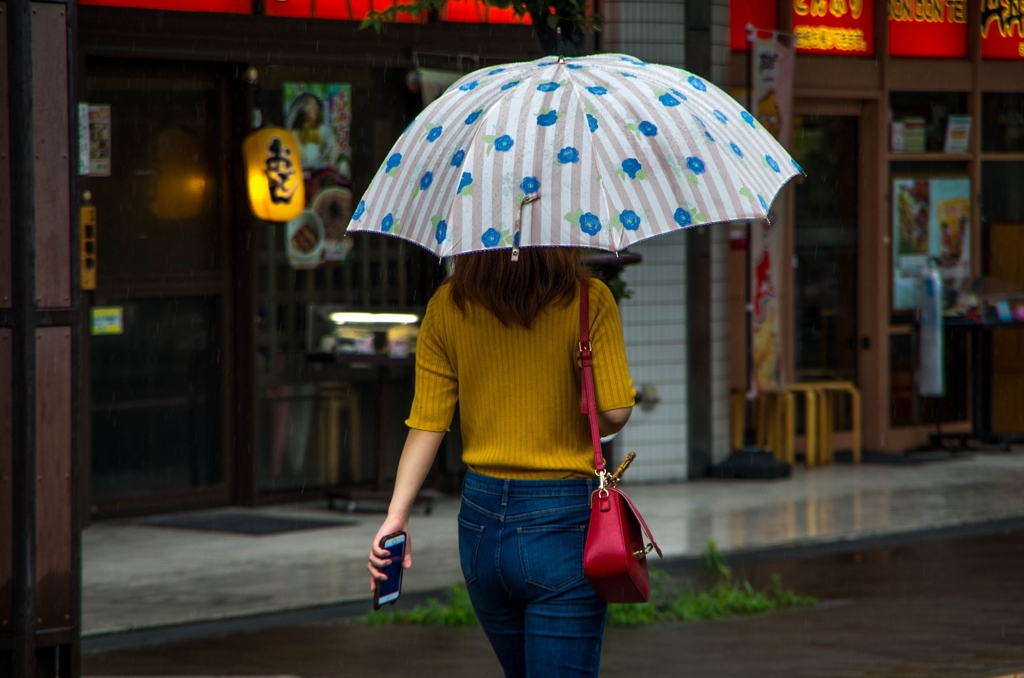 今日も雨‥