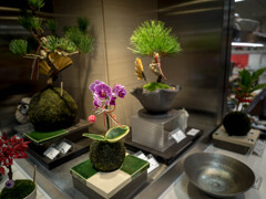 ♪ もぉ～いくつ・・ ♪♪ 正月飾り