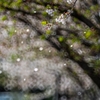 そよ風に吹かれて‥