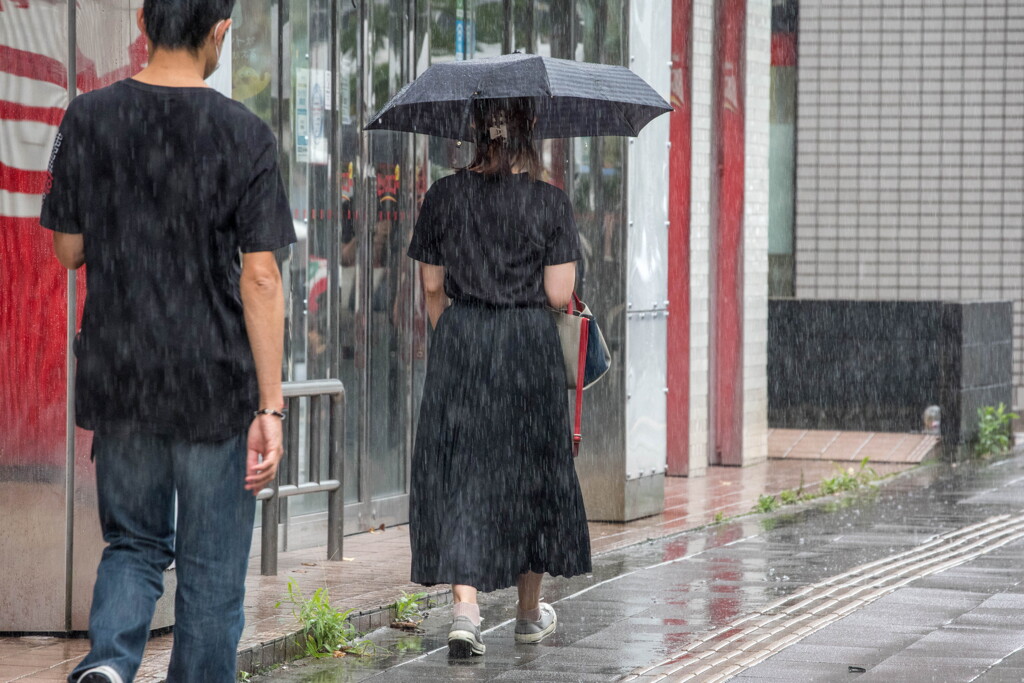 秋雨･･よく降ったね