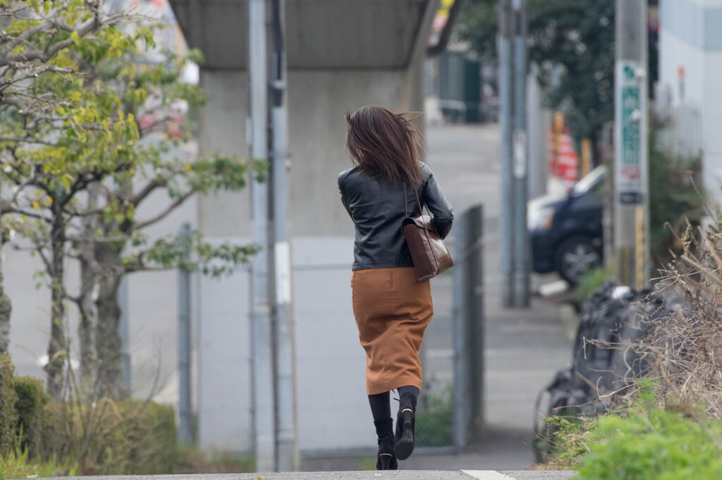 今日の風は”南風”