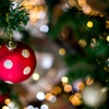 季節感は初秋・・街はX’mas