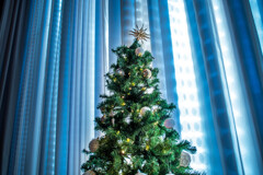 クリスマスウイーク‥ナウ