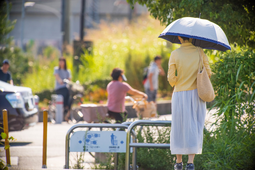 9月1日（木）秋めく夏の日・・