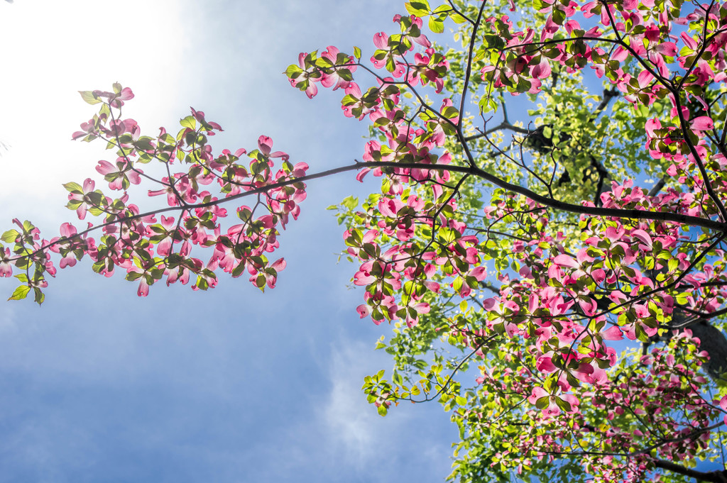 季節は突然‥「夏」