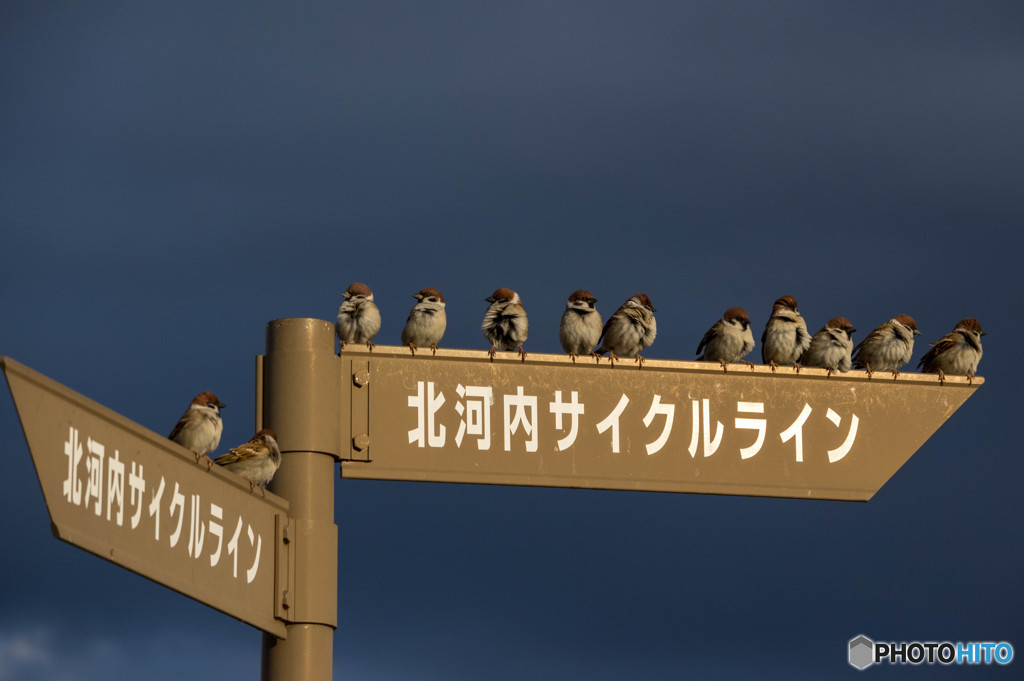 ならんで、ならんでっ・・