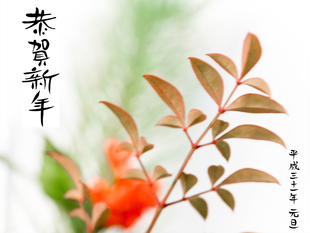 2019年　元旦