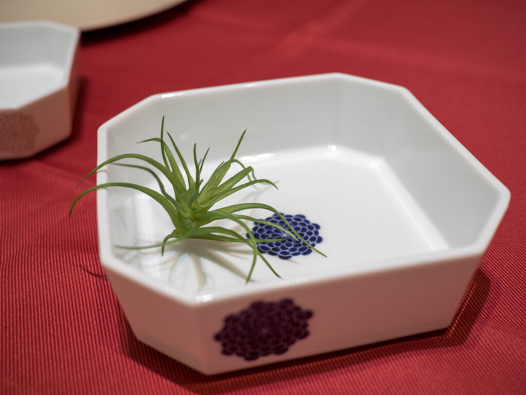 ♪ 真っ白な陶磁器を～♪♪