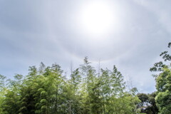 盛夏の梅雨空･･